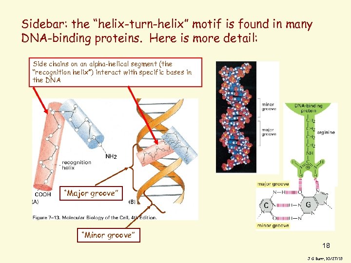 Lecture 20 Control Of Gene Expression In Bacteria