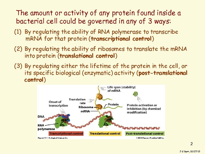 The amount or activity of any protein found inside a bacterial cell could be