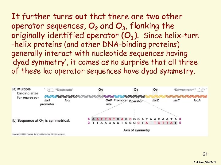 It further turns out that there are two other operator sequences, O 2 and