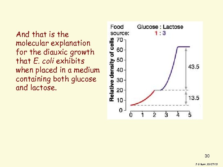 And that is the molecular explanation for the diauxic growth that E. coli exhibits