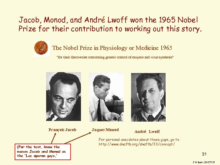 Jacob, Monod, and André Lwoff won the 1965 Nobel Prize for their contribution to