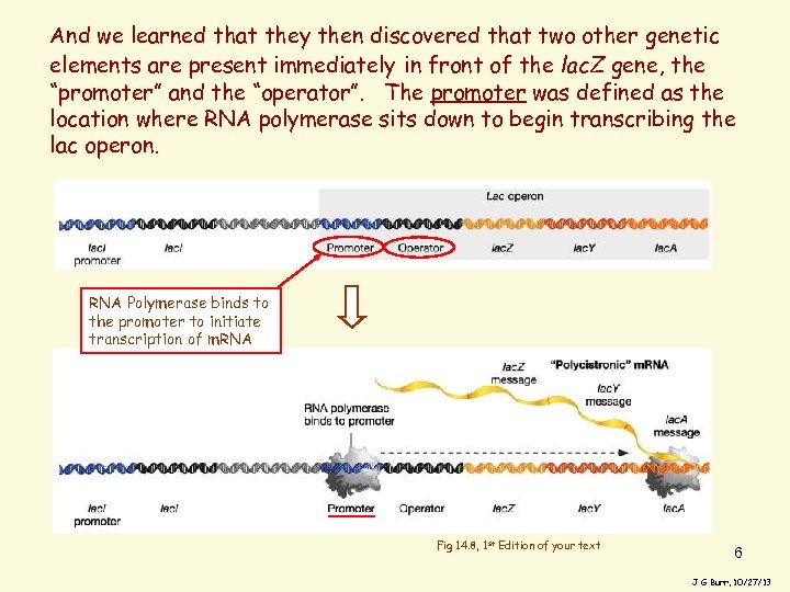 And we learned that they then discovered that two other genetic elements are present