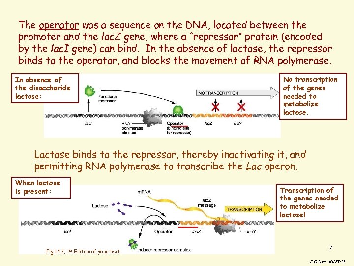 The operator was a sequence on the DNA, located between the promoter and the