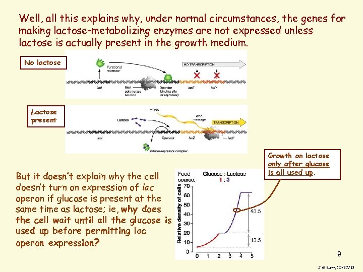 Well, all this explains why, under normal circumstances, the genes for making lactose-metabolizing enzymes