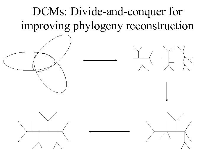 DCMs: Divide-and-conquer for improving phylogeny reconstruction 