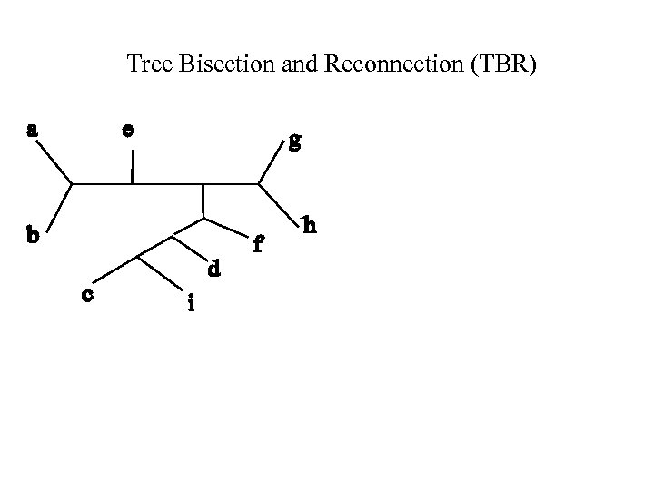 Tree Bisection and Reconnection (TBR) 