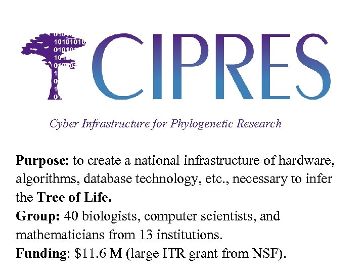 Cyber Infrastructure for Phylogenetic Research Purpose: to create a national infrastructure of hardware, algorithms,
