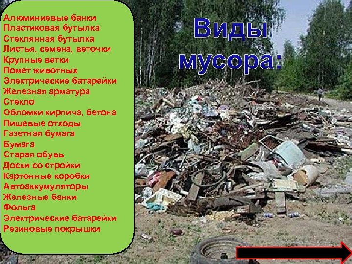 Алюминиевые банки Пластиковая бутылка Стеклянная бутылка Листья, семена, веточки Крупные ветки Помет животных Электрические