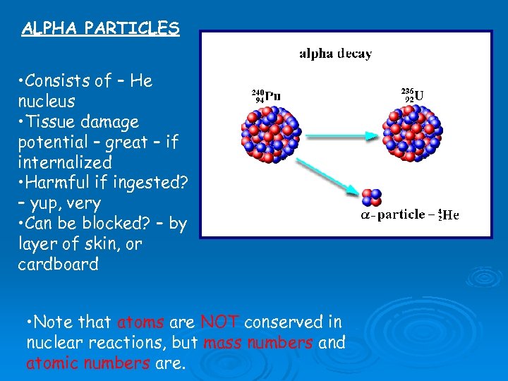 ALPHA PARTICLES • Consists of – He nucleus • Tissue damage potential – great