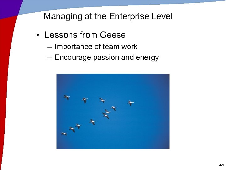 Managing at the Enterprise Level • Lessons from Geese – Importance of team work
