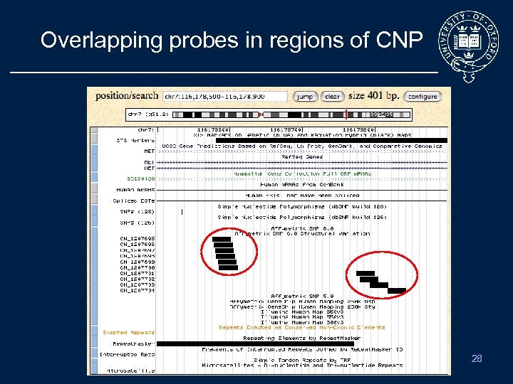 Overlapping probes in regions of CNP 28 