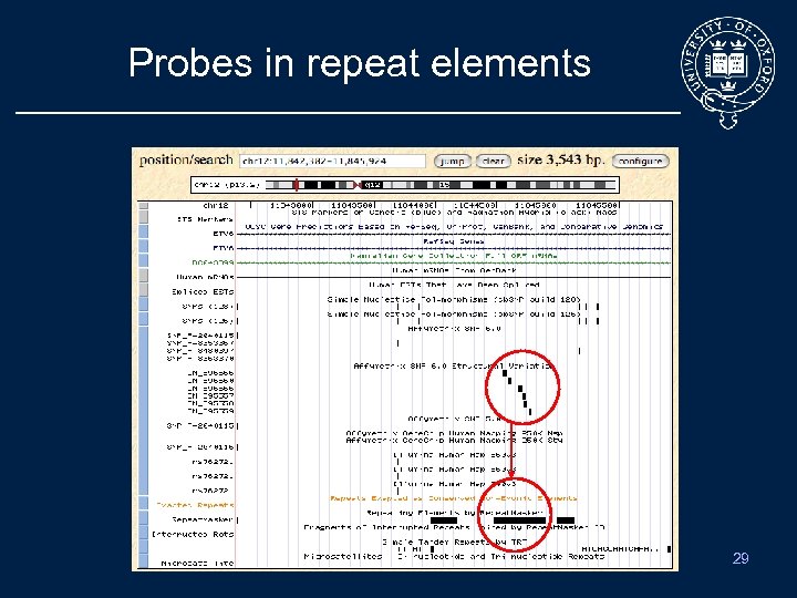 Probes in repeat elements 29 