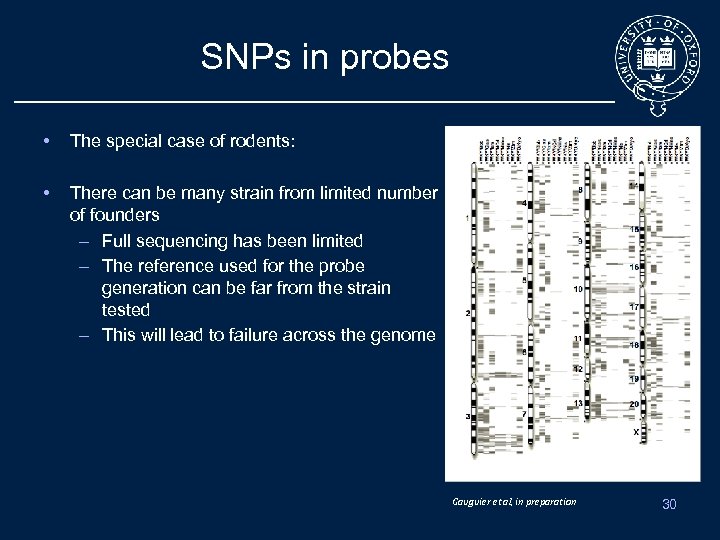 SNPs in probes • The special case of rodents: • There can be many