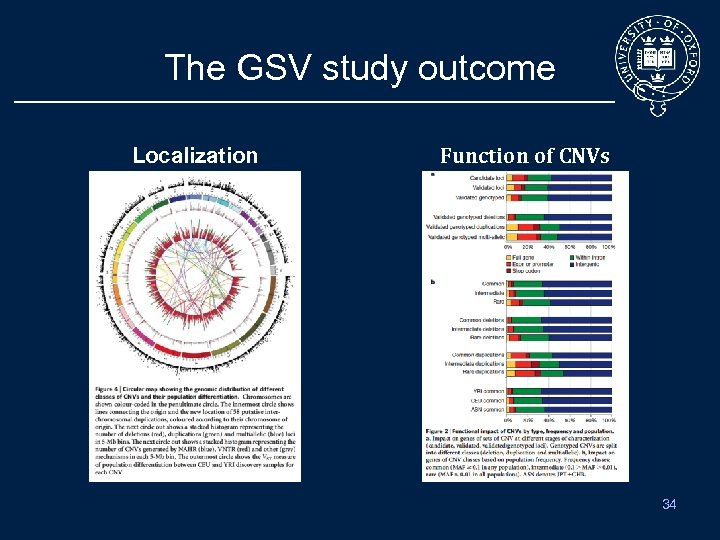 The GSV study outcome Localization Function of CNVs 34 