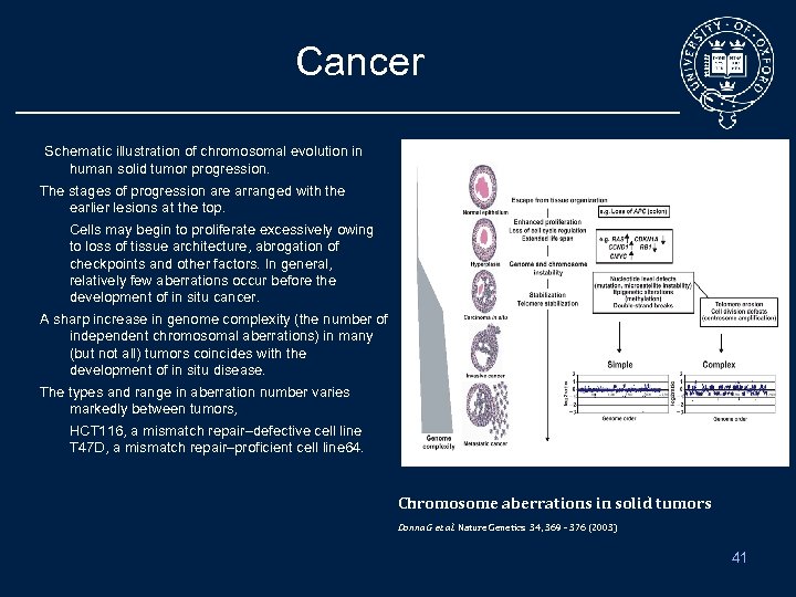 Cancer Schematic illustration of chromosomal evolution in human solid tumor progression. The stages of