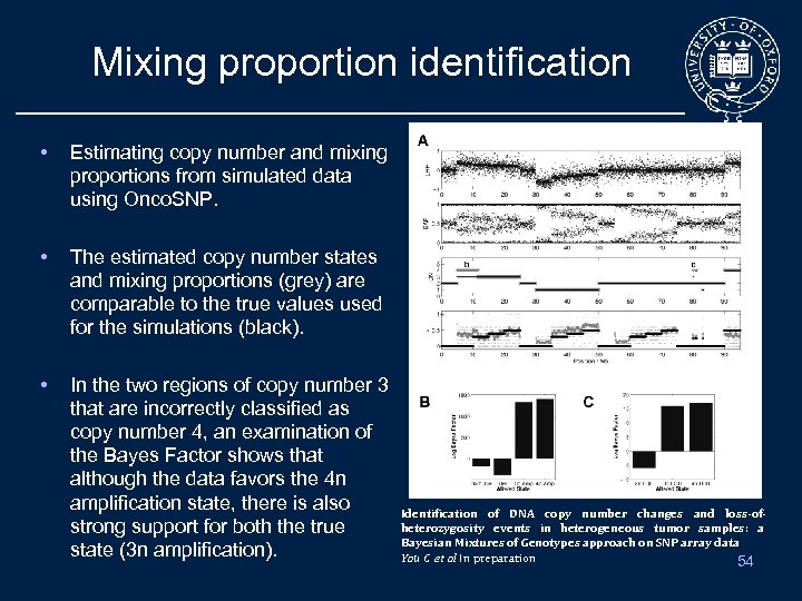Mixing proportion identification • Estimating copy number and mixing proportions from simulated data using