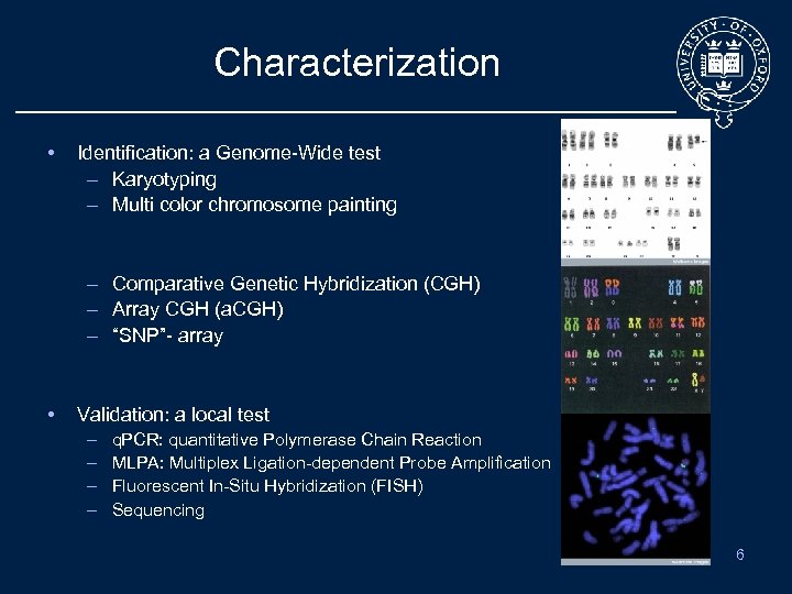 Characterization • Identification: a Genome-Wide test – Karyotyping – Multi color chromosome painting –
