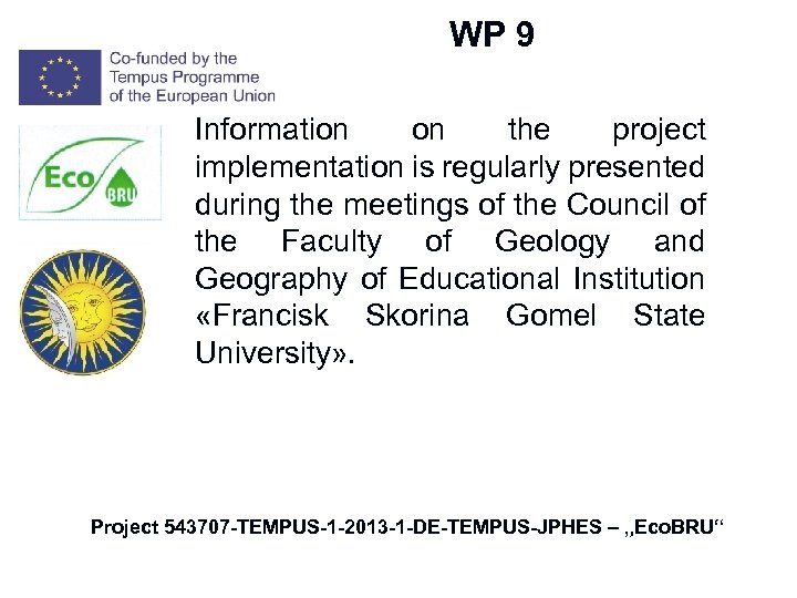 W WP 9 Information on the project implementation is regularly presented during the meetings