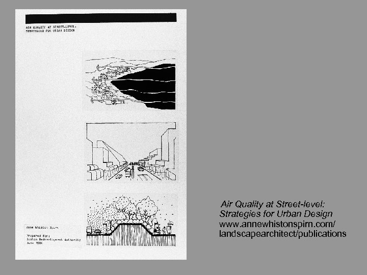 Air Quality at Street-level: Strategies for Urban Design www. annewhistonspirn. com/ landscapearchitect/publications 