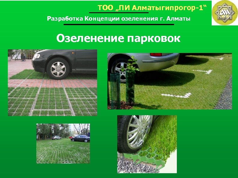 ТОО „ПИ Алматыгипрогор-1“ Разработка Концепции озеленения г. Алматы Озеленение парковок 