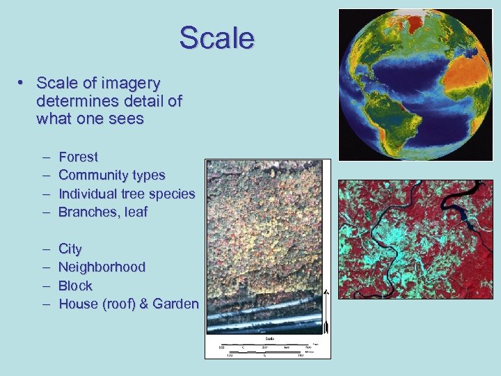 Scale • Scale of imagery determines detail of what one sees – – Forest