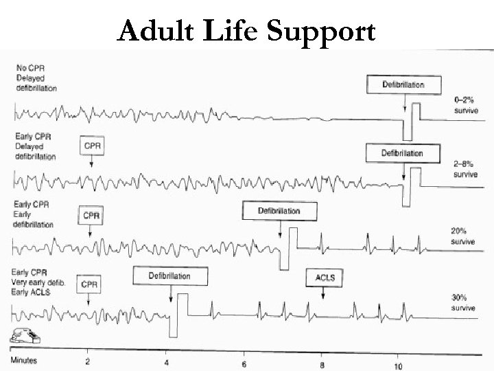 Adult Life Support 