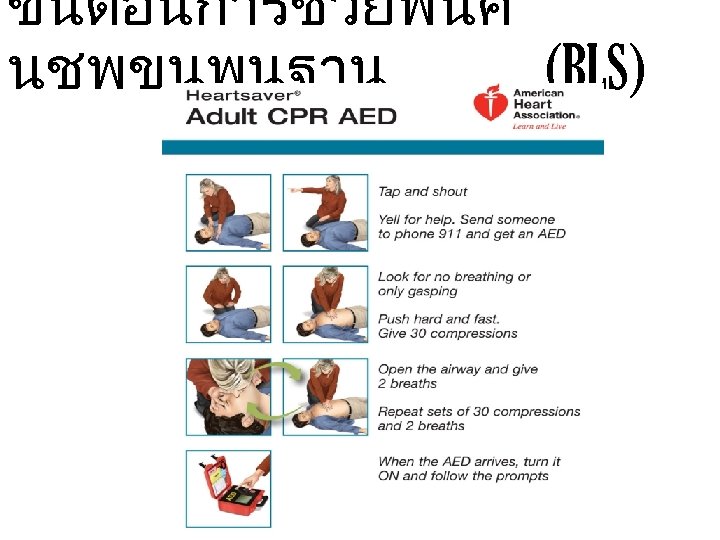 ขนตอนการชวยฟนค นชพขนพนฐาน (BLS) 