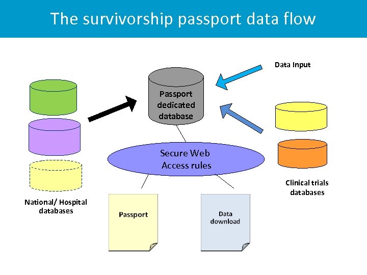 The survivorship passport data flow Data Input Passport dedicated database Secure Web Access rules