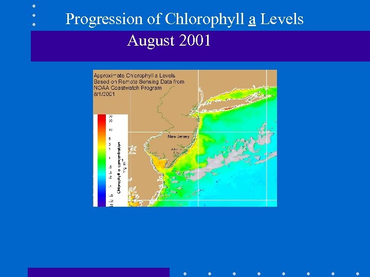 Progression of Chlorophyll a Levels August 2001 