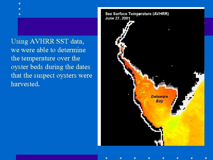 Using AVHRR SST data, we were able to determine the temperature over the oyster