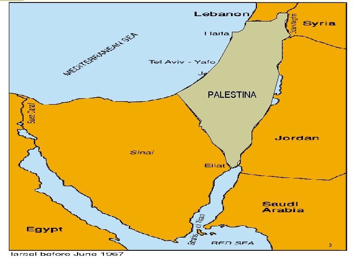 PALESTINA 3 