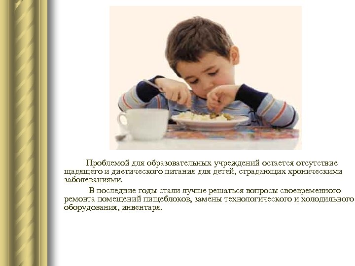 Проблемой для образовательных учреждений остается отсутствие щадящего и диетического питания для детей, страдающих хроническими