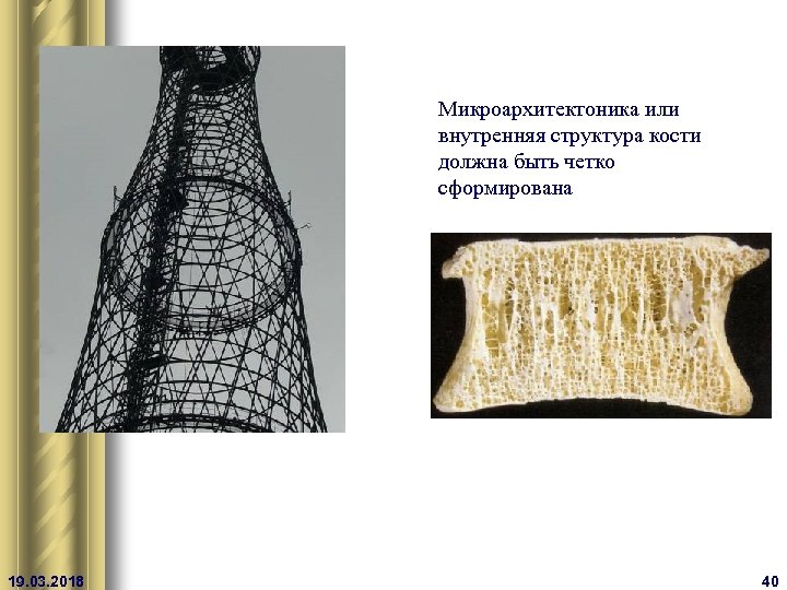 Микроархитектоника или внутренняя структура кости должна быть четко сформирована 19. 03. 2018 40 