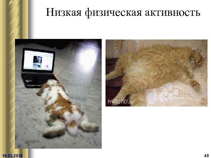 Низкая физическая активность 19. 03. 2018 45 