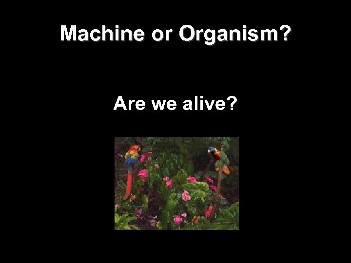 Machine or Organism? Are we alive? 