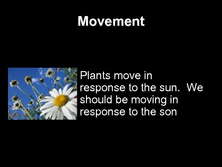 Movement Plants move in response to the sun. We should be moving in response