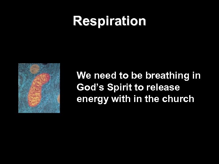 Respiration We need to be breathing in God’s Spirit to release energy with in