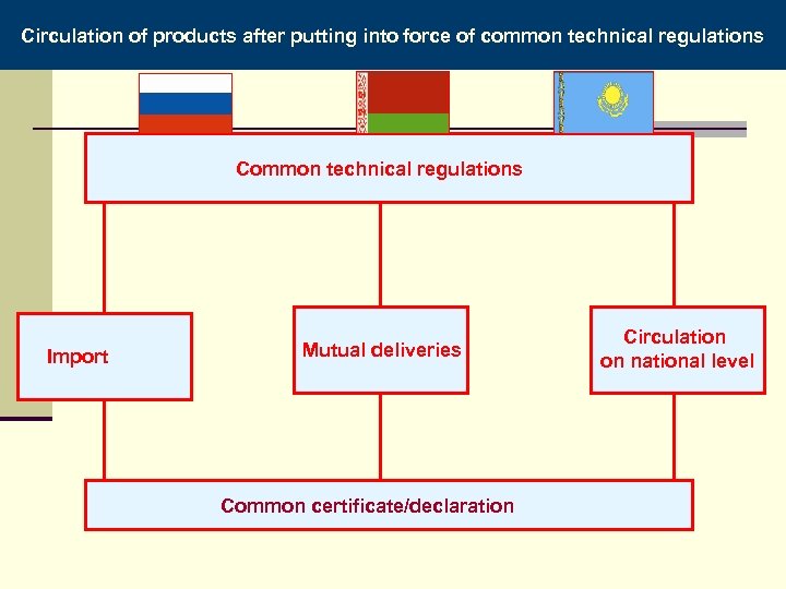 Circulation of products after putting into force of common technical regulations Common technical regulations