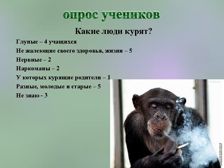 опрос учеников Какие люди курят? Глупые – 4 учащихся Не жалеющие своего здоровья, жизни