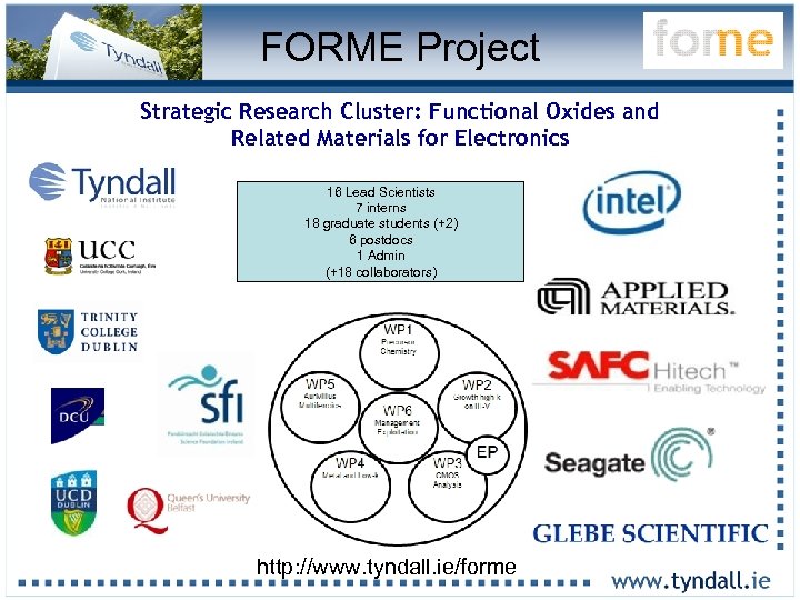 FORME Project Strategic Research Cluster: Functional Oxides and Related Materials for Electronics 16 Lead