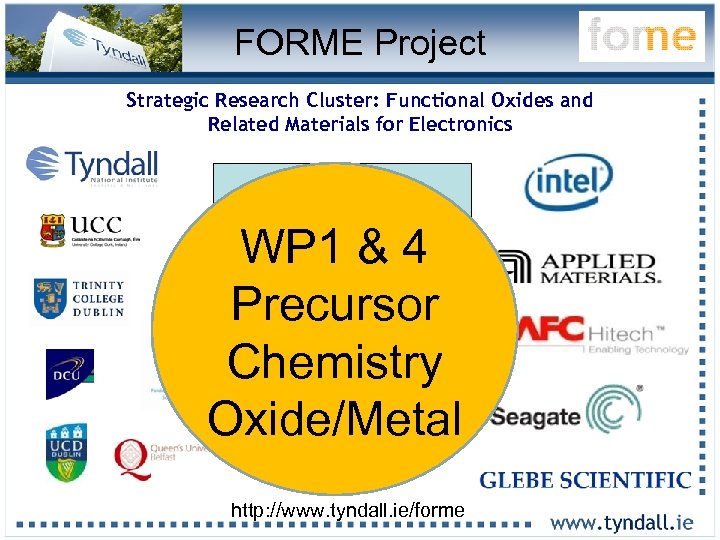 FORME Project Strategic Research Cluster: Functional Oxides and Related Materials for Electronics 16 Lead