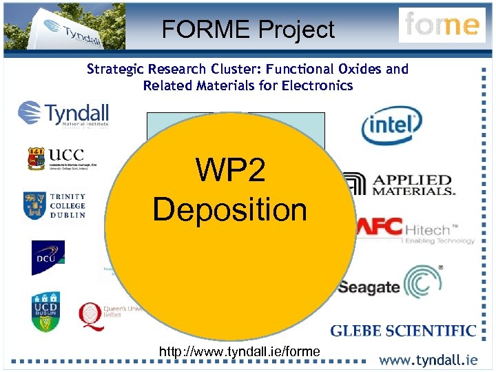 FORME Project Strategic Research Cluster: Functional Oxides and Related Materials for Electronics 16 Lead