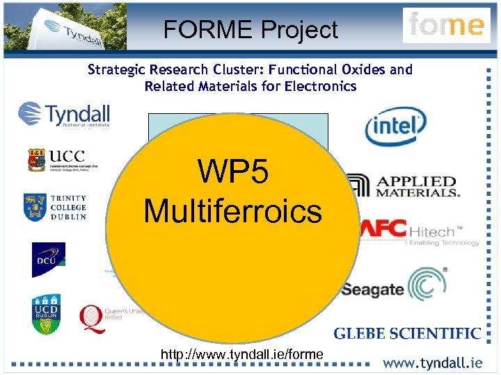 FORME Project Strategic Research Cluster: Functional Oxides and Related Materials for Electronics 16 Lead