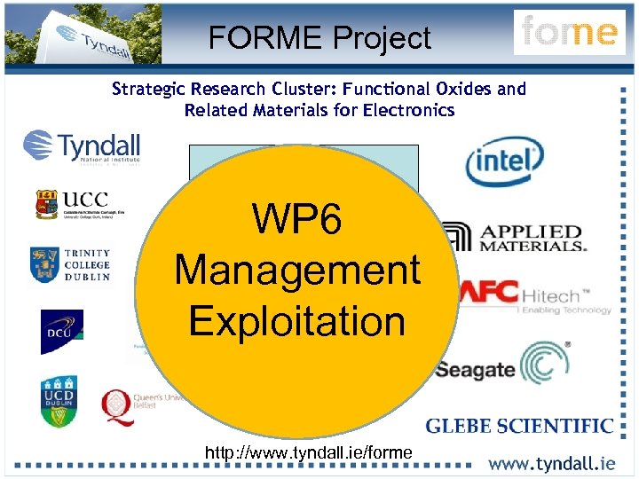 FORME Project Strategic Research Cluster: Functional Oxides and Related Materials for Electronics 16 Lead