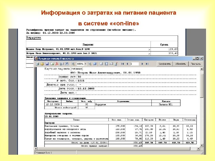 Информация о затратах на питание пациента в системе « «on-line» 