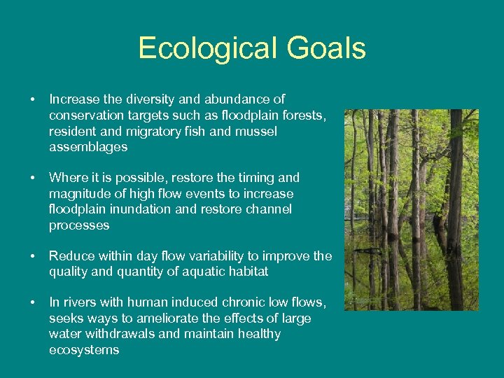 Ecological Goals • Increase the diversity and abundance of conservation targets such as floodplain