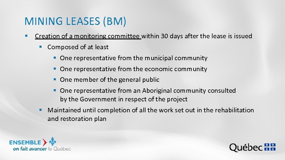 MINING LEASES (BM) § Creation of a monitoring committee within 30 days after the