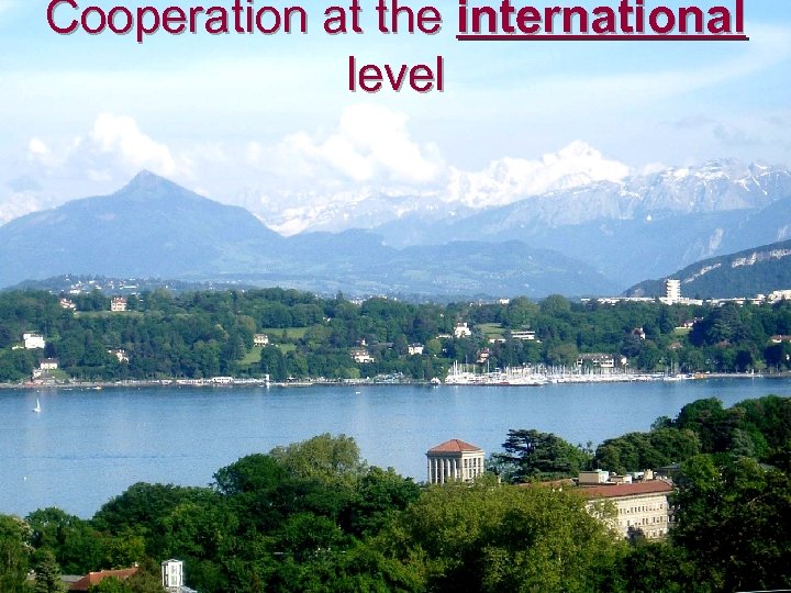 Cooperation at the international level 
