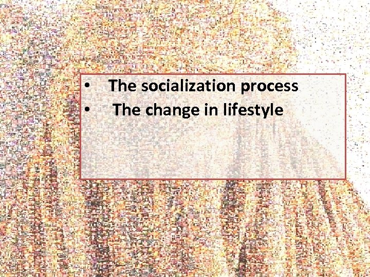  • The socialization process • The change in lifestyle 