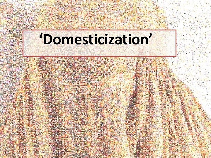 ‘Domesticization’ 